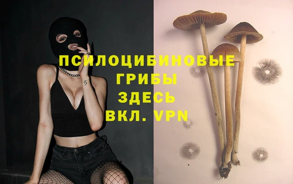 кокс Переславль-Залесский