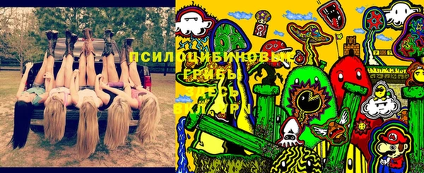 кокс Баксан