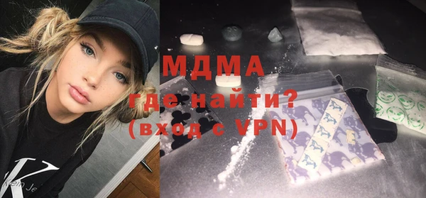 хмурый Пересвет