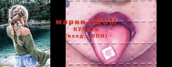 хмурый Пересвет